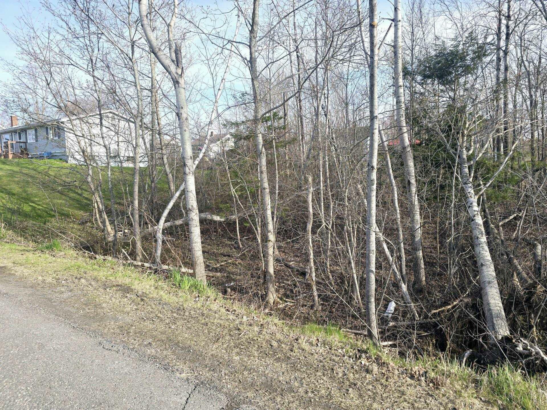 Property Photo:  Lot Belmont Avenue  NS B0K 1S0 