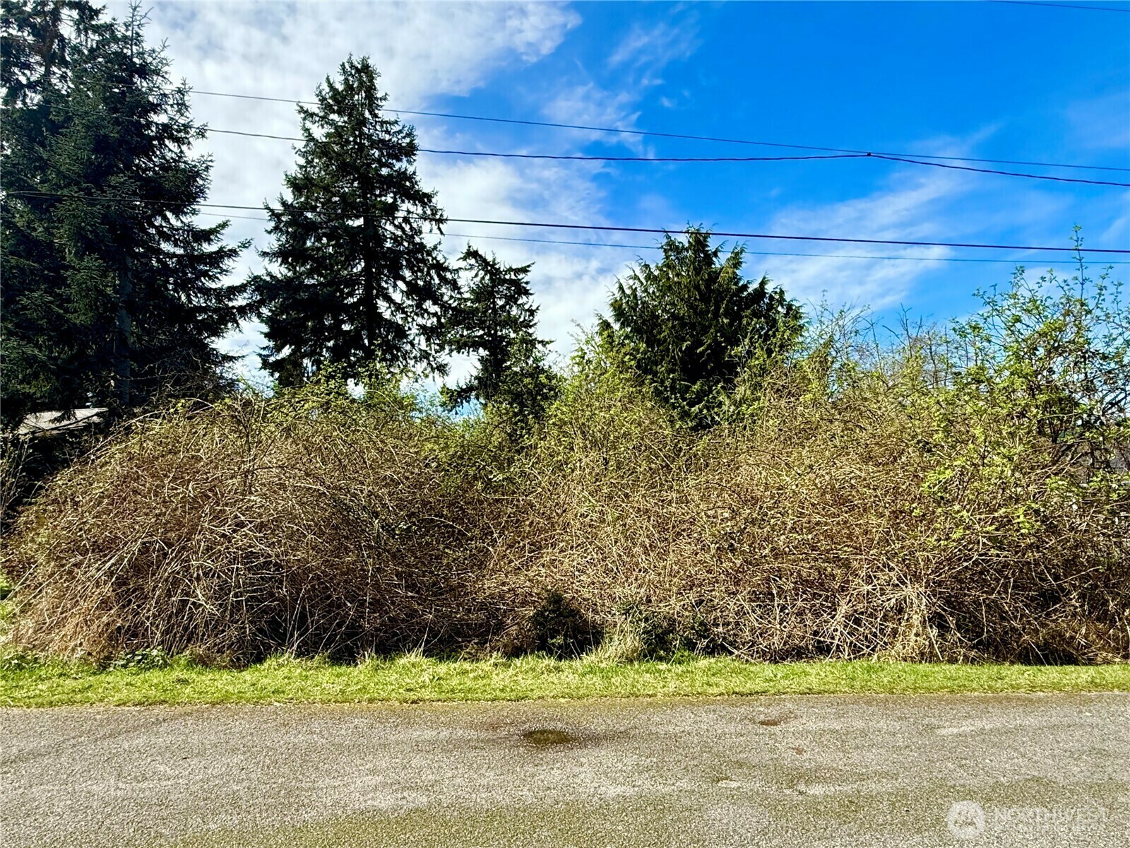 Property Photo: 0 Hodges Avenue WA 98260