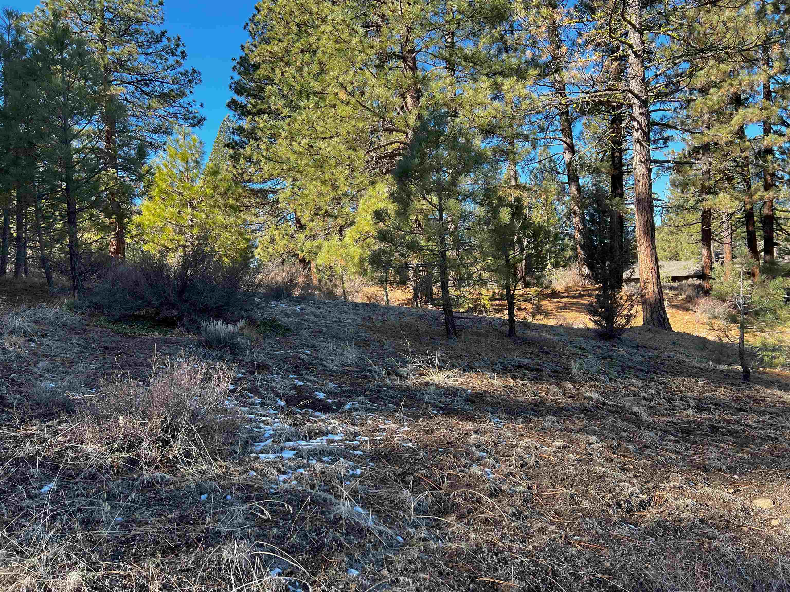 Property Photo: 450 Emerald Point CA 96122