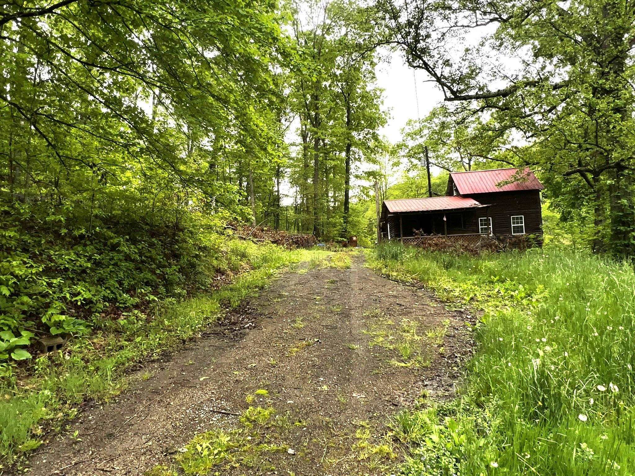 Property Photo: 702 Meade Hollow Rd Road KY 41144