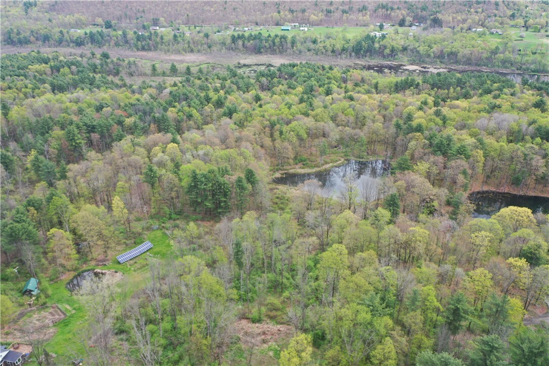 Property Photo: 0 Coddington Road S NY 14817
