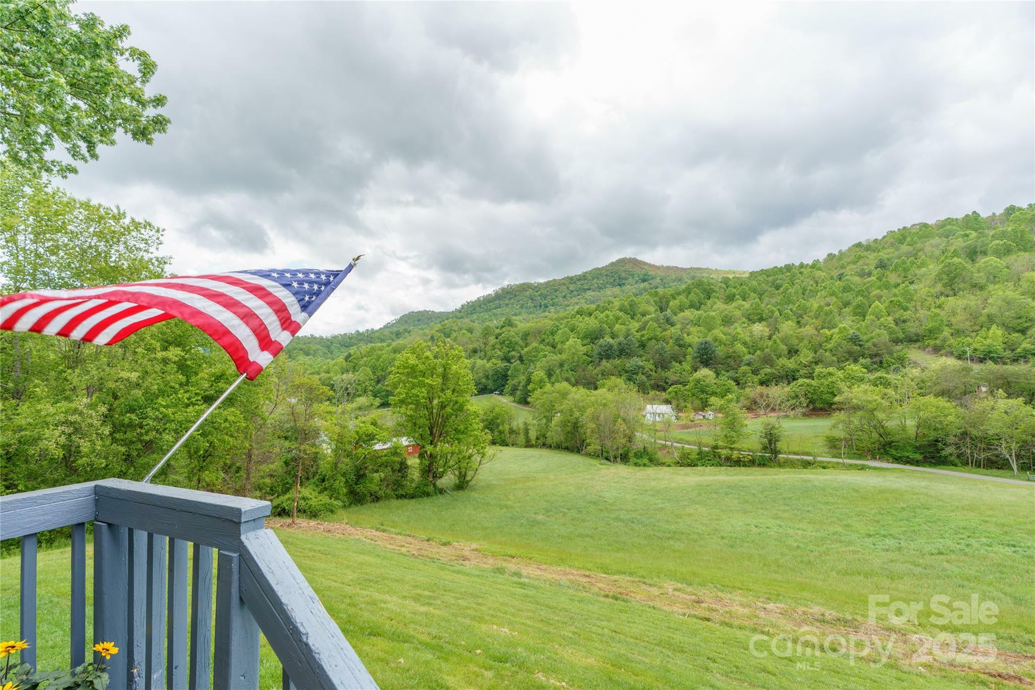234 Snyder Farm Road  Waynesville NC 28786 photo
