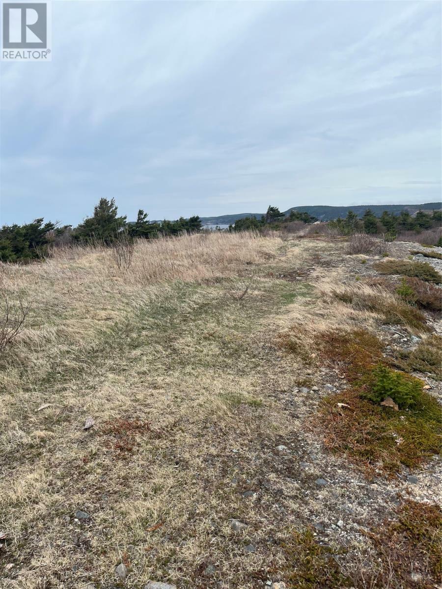 Photo de la propriété:  1A Main Road  NL A0C 1T0 