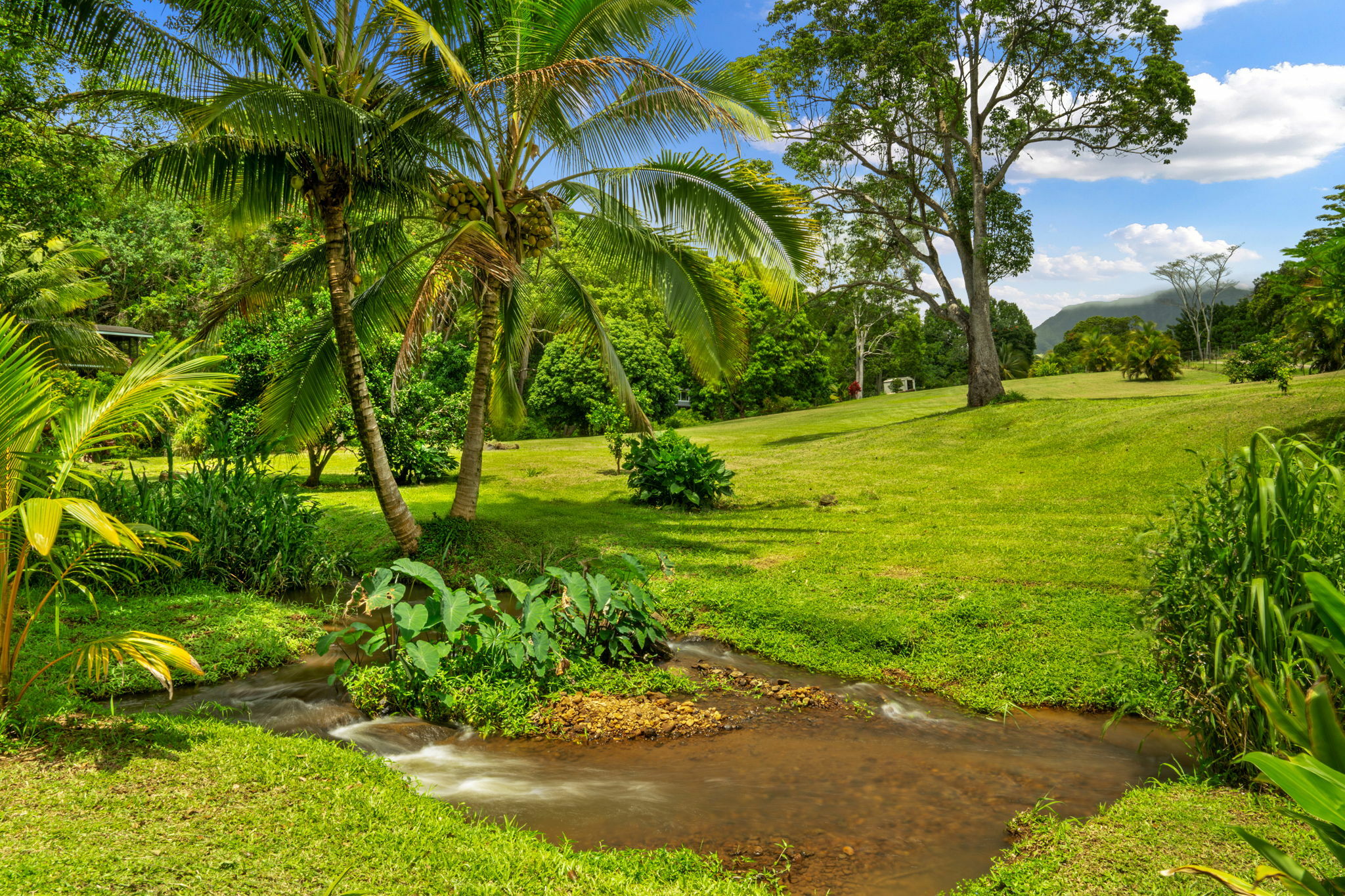 5880 Kini Pl  Kapaa HI 96746 photo
