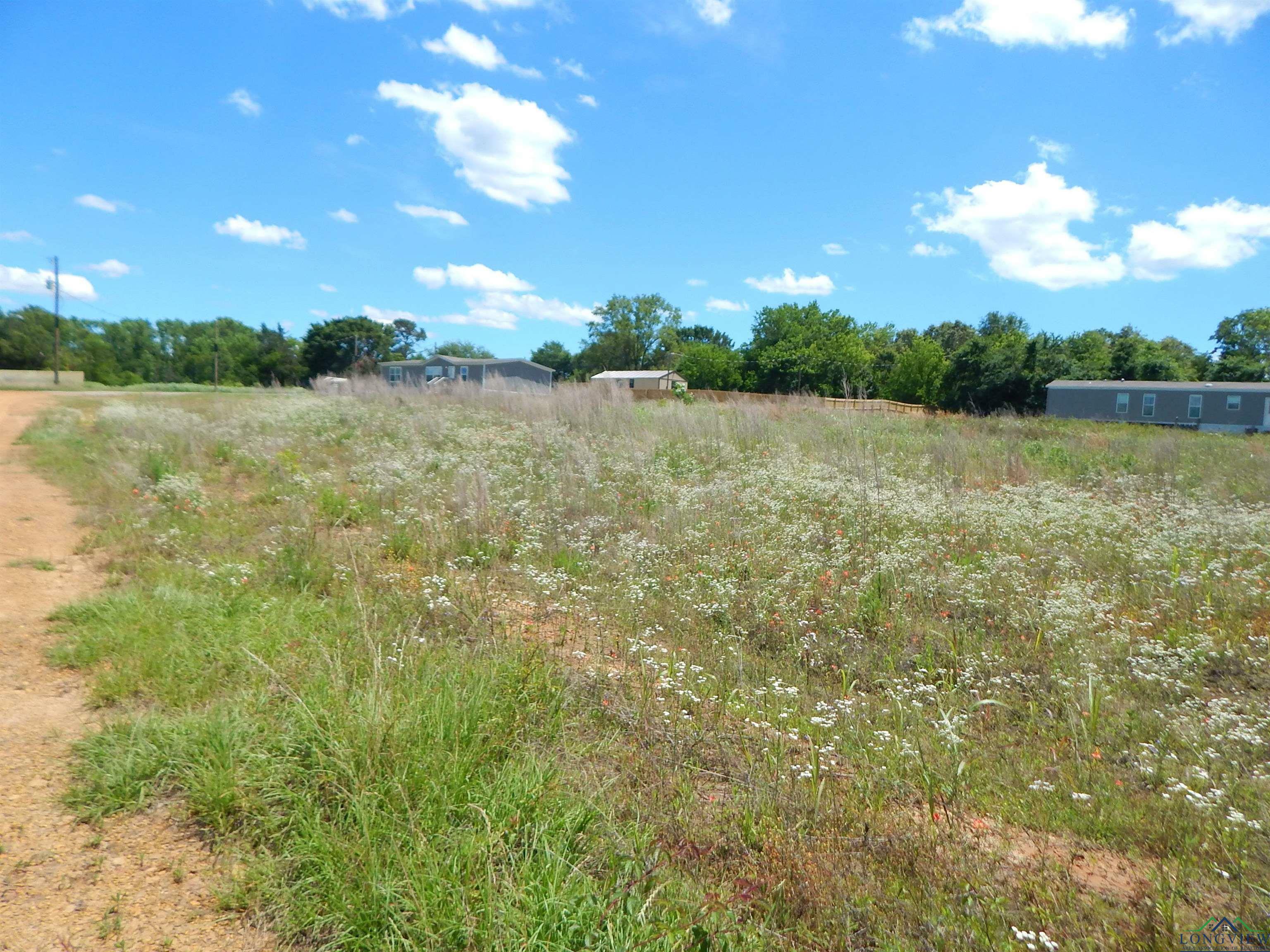 Property Photo:  Tbd Lot 7 Zela Rd.  TX 75644 