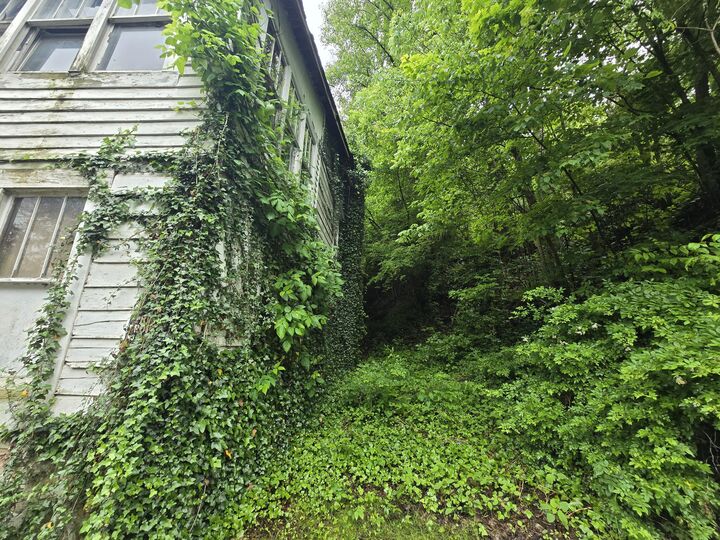 Property Photo:  00 Ky 66/Hendron Hill  KY 40902 
