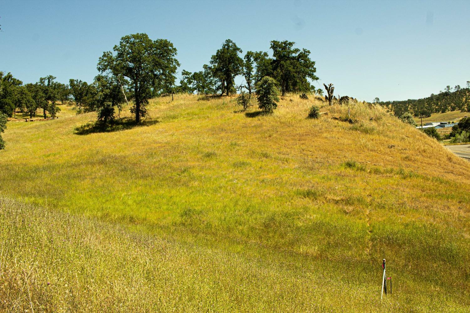 Property Photo:  3070 State Hwy 132  CA 95329 