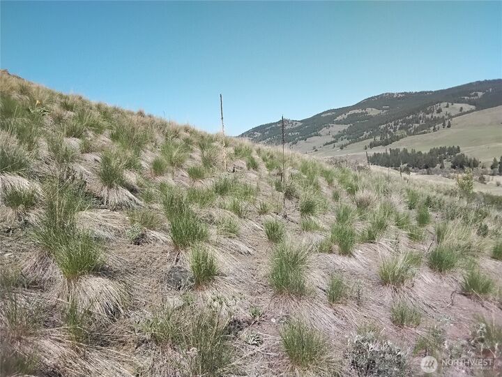 Property Photo: 0 Gafvery Creek Road WA 98844