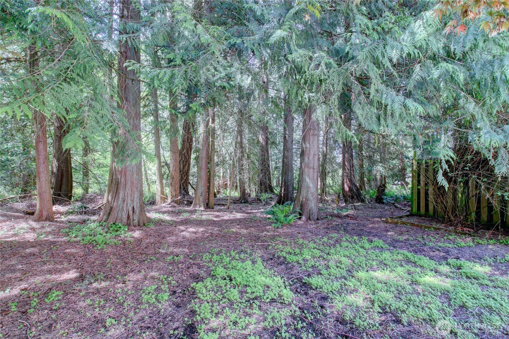 Property Photo: 121 N 39th Place WA 98273