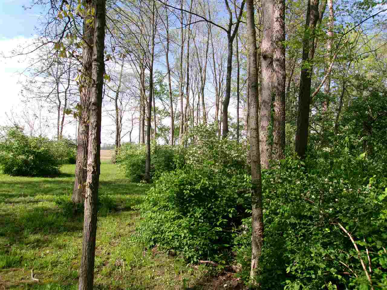 Property Photo:  5.71a Greenmount Pike  IN 47374 