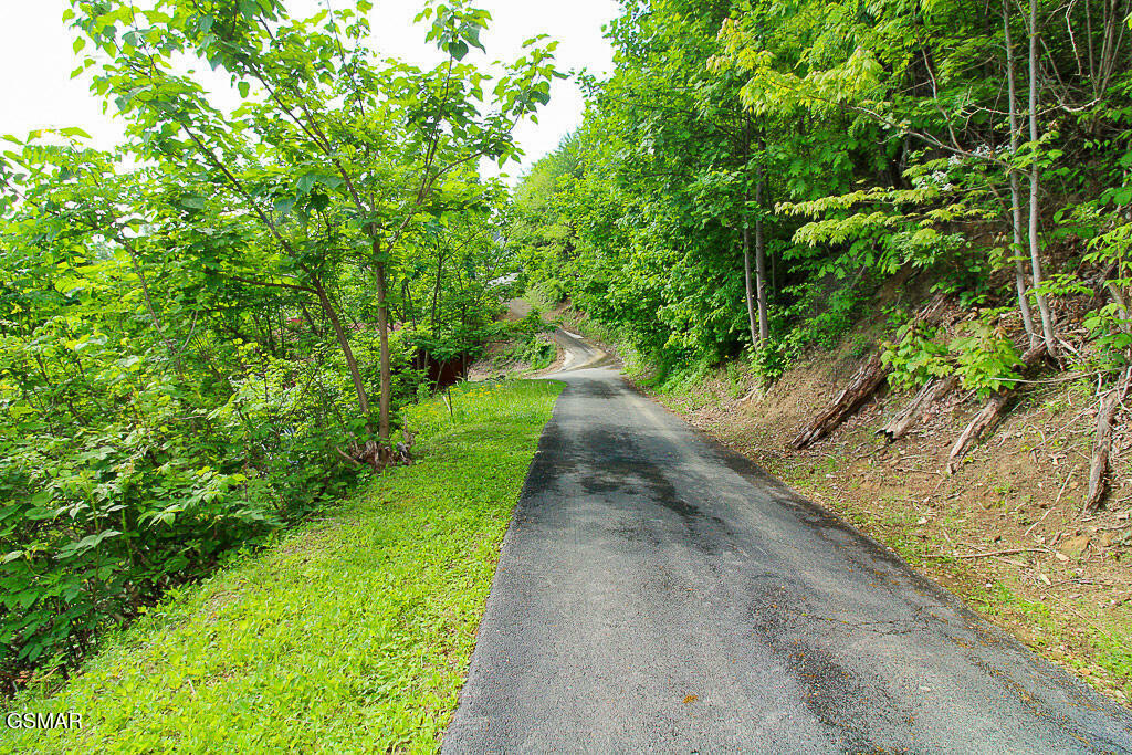 Property Photo:  Lot 304 Chestnut Drive  TN 37738 