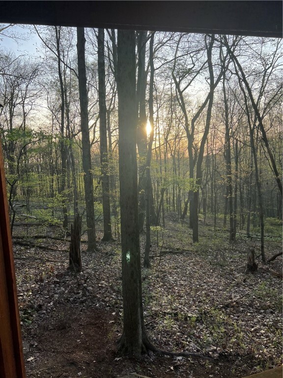 Property Photo: 0 Squirrel Road PA 16033