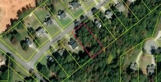 Property Photo: 119 Muscadine Way GA 30116
