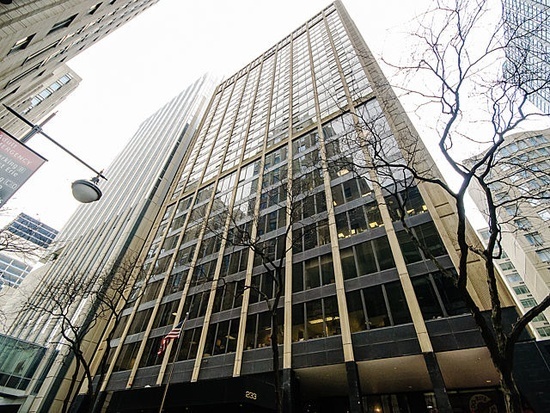 Property Photo: 233 E Erie Street 2208 IL 60611