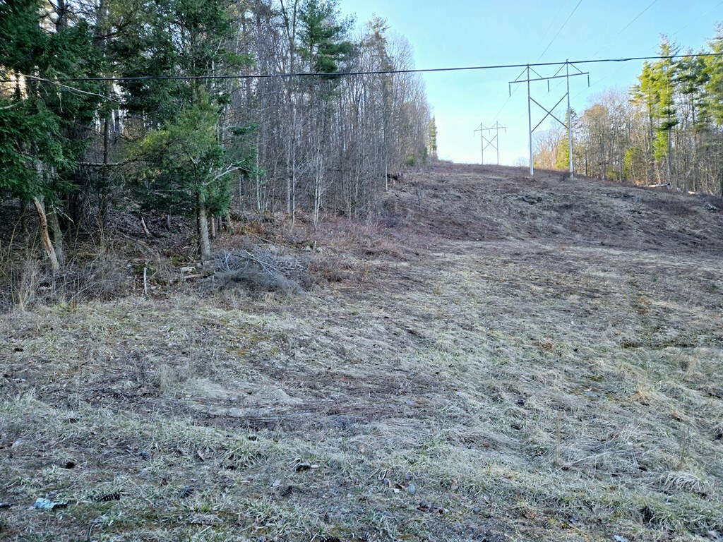 Property Photo: 000 Edinger Hill Road PA 18623