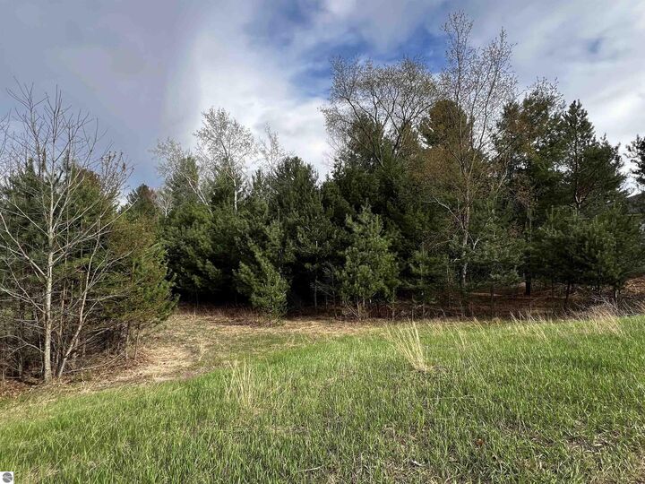 Lot 19 Cushman Court  Williamsburg MI 49690 photo