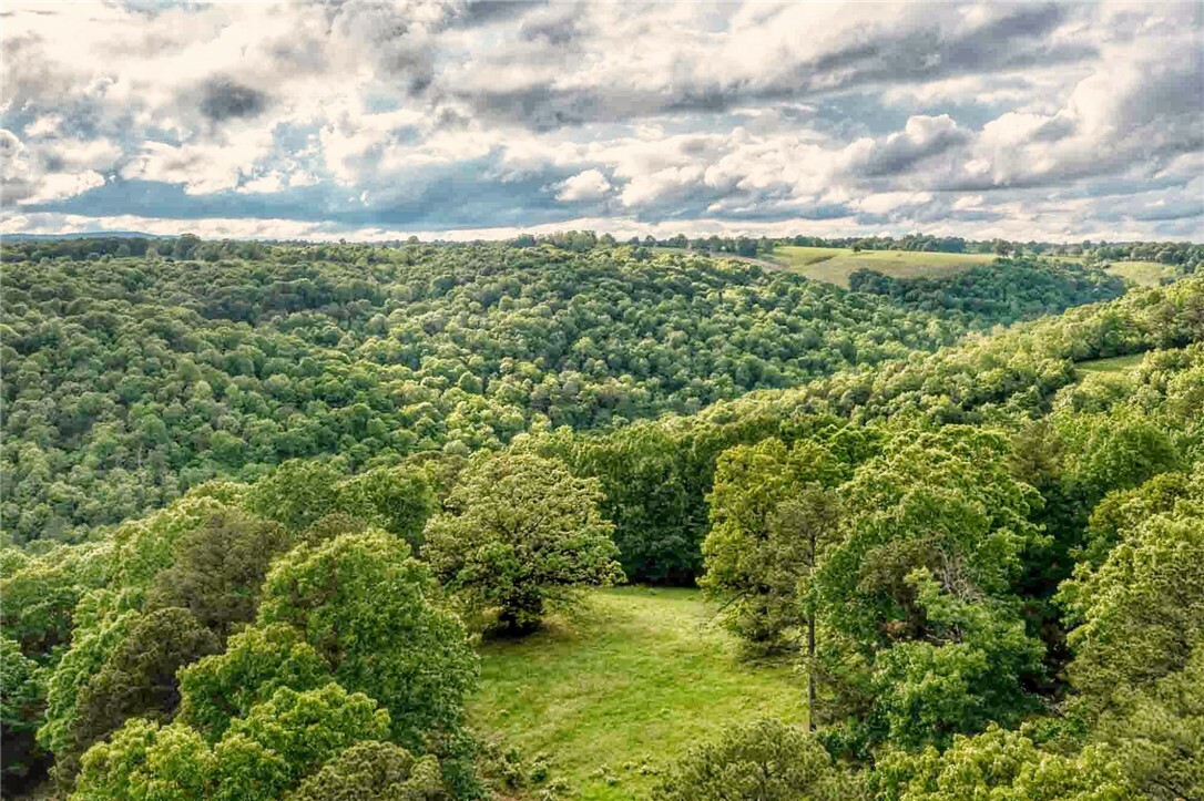 Property Photo: 13135 Cobb Road AR 72662