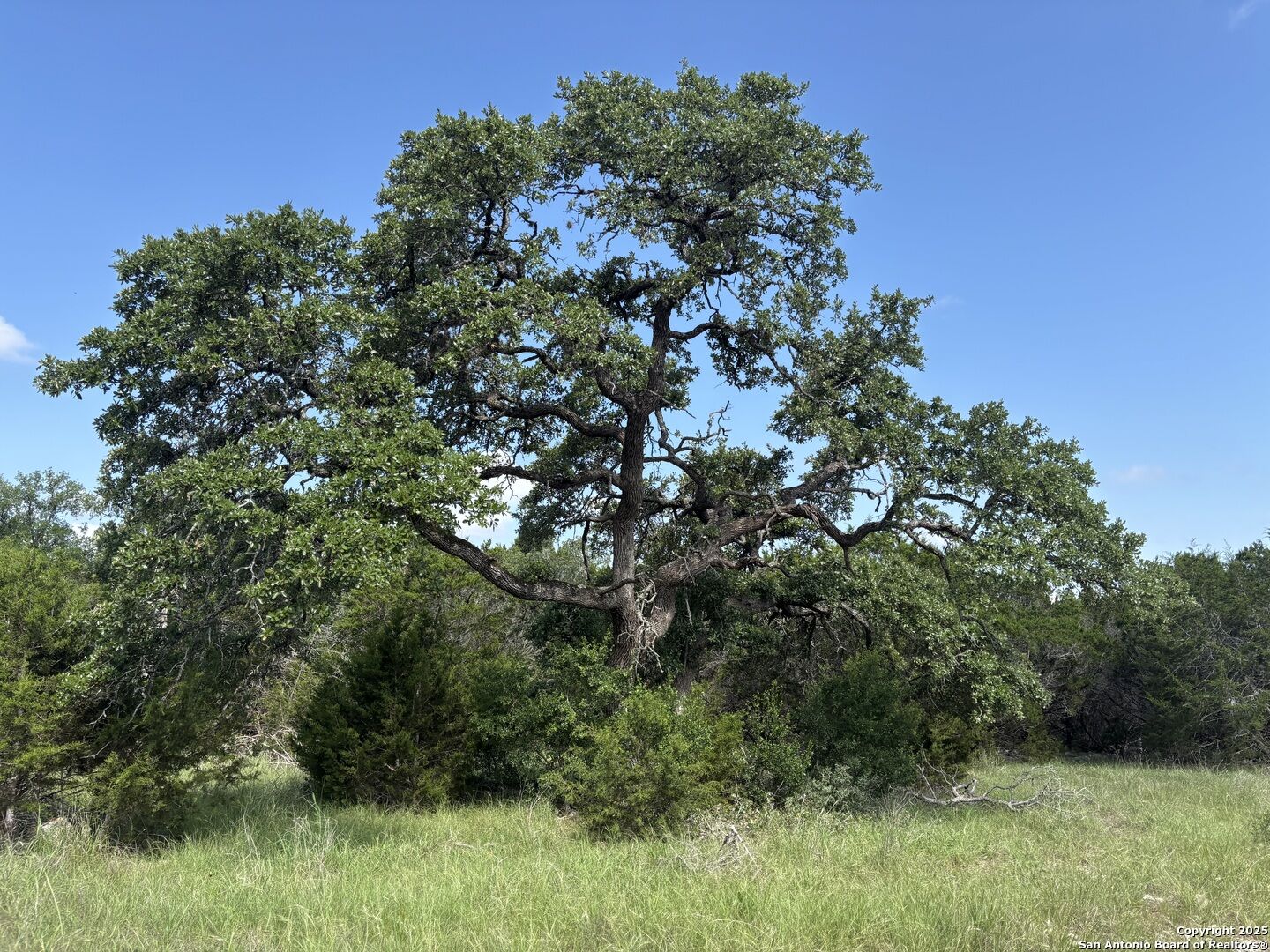 Property Photo:  1483 Trailhead  TX 78132 