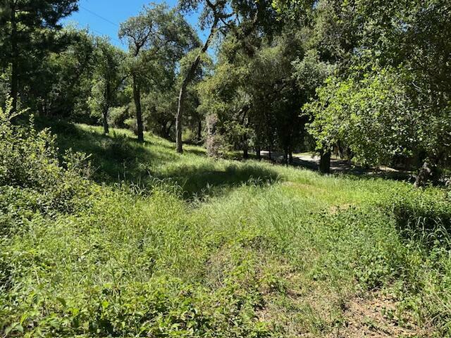 Property Photo: 290-292 Rosario Park Road CA 93105