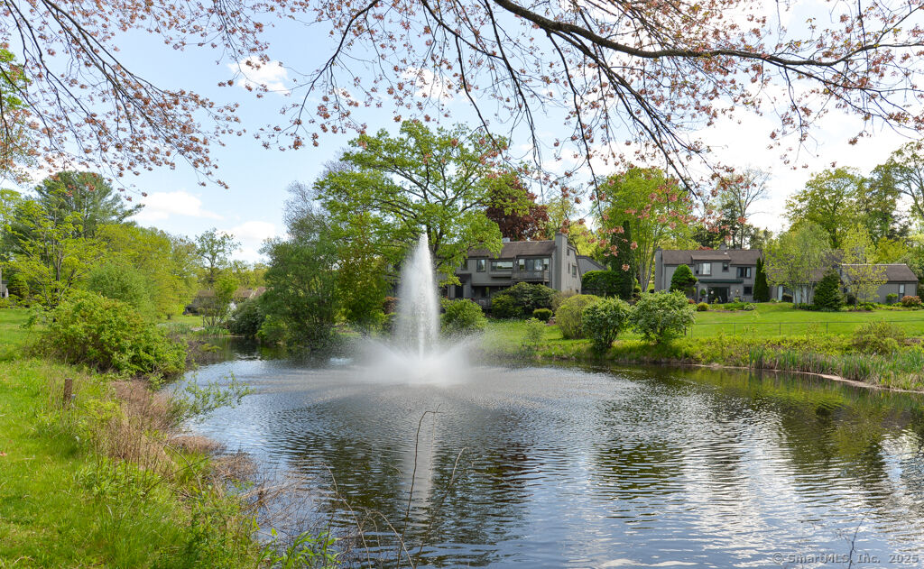 Property Photo:  306 Heritage Village  CT 06488 