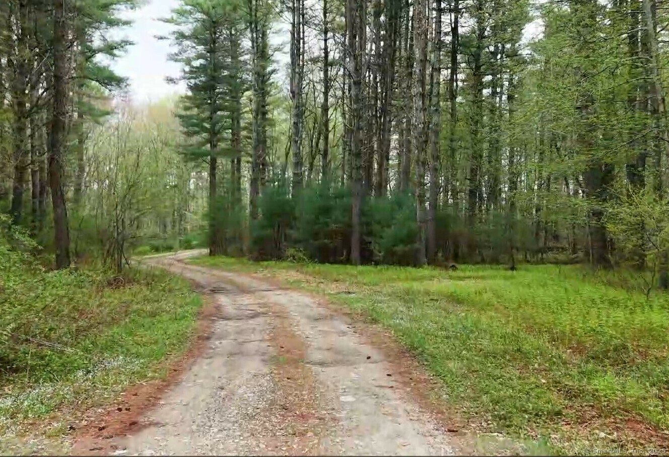 Property Photo: 597 East Thompson Road Lot 10C CT 06277