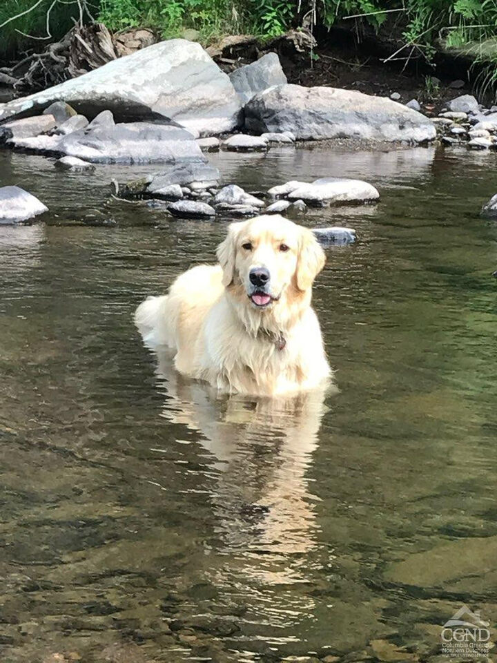 Property Photo: 25 Vets Road NY 12496