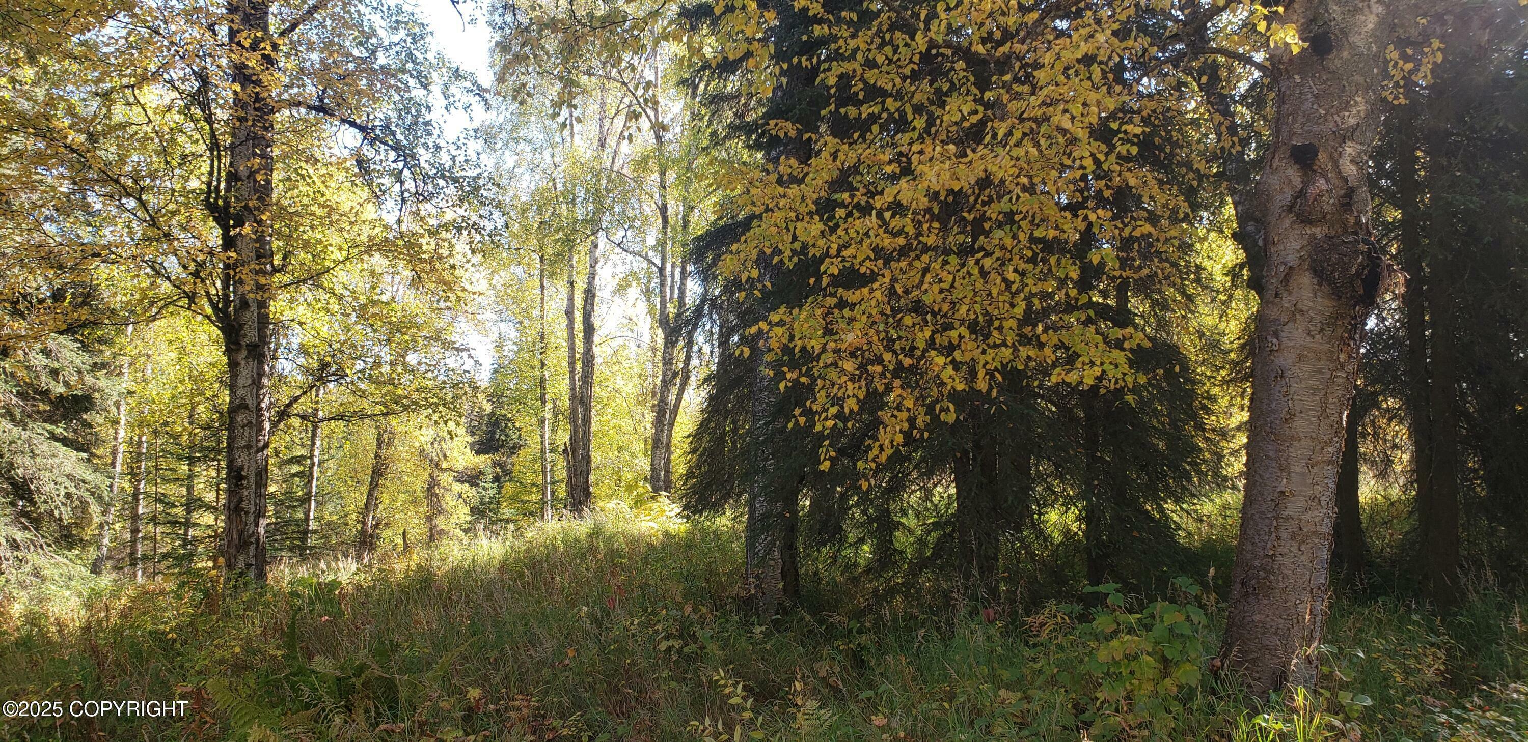 Property Photo: 35850 Isbell Street AK 99669