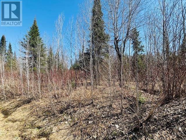 Property Photo:  0 Hilly Lake Rd  ON P9N 3W8 