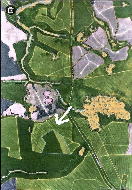 61 Acres Crown Land — photo 1