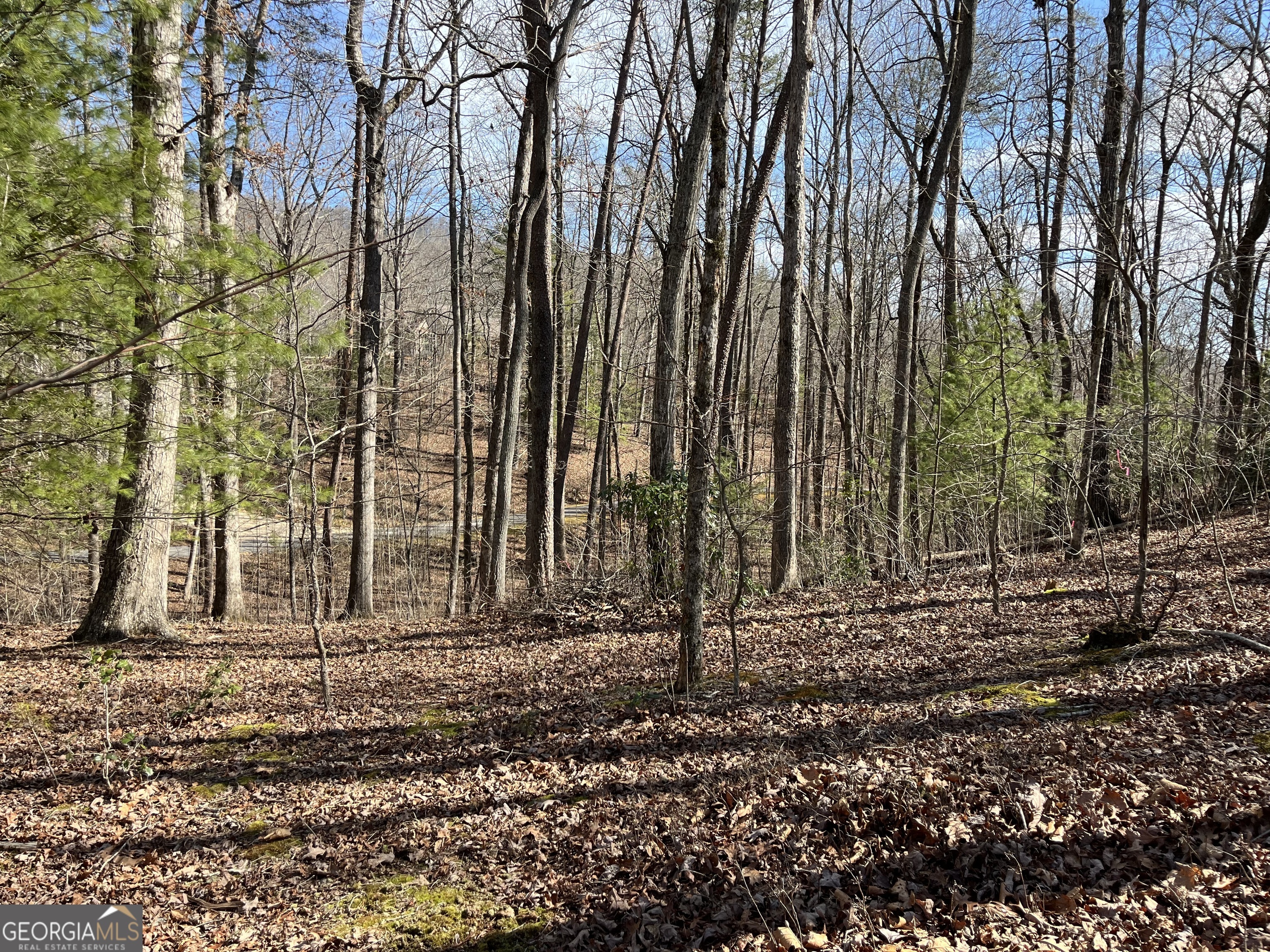 Property Photo: 0 N Laceola Road Lot #6I GA 30528