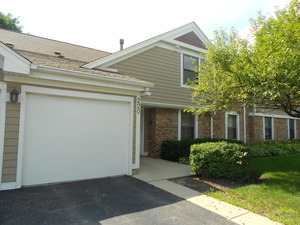 Property Photo: 220 Oak Knoll Court A2 IL 60193