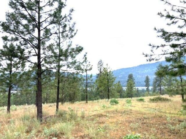Property Photo: 1321 Sunset Way WA 99141