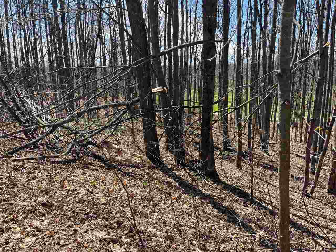 Property Photo: 4630 Deer Park MI 49740