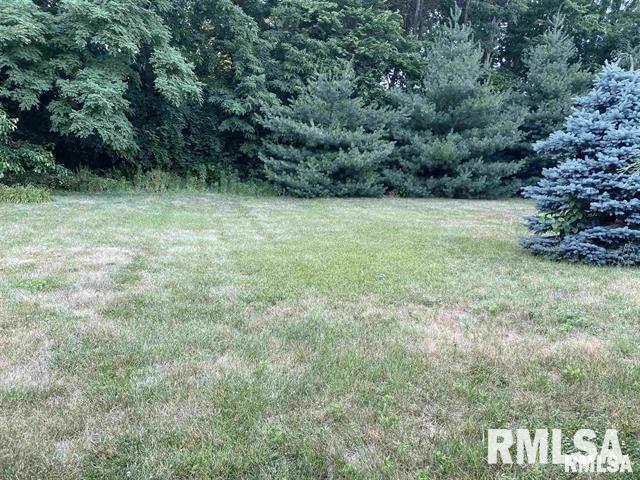 Property Photo: 0 N Route 29 Highway IL 61523