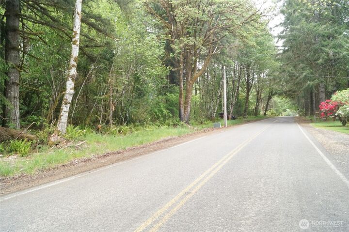 0 Nka  North River Road  Cosmopolis WA 98537 photo