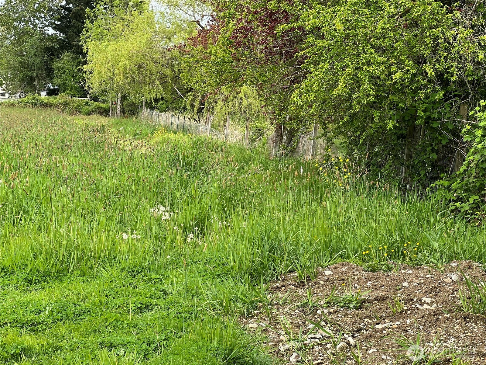 Property Photo: 10512 22nd Avenue E WA 98445