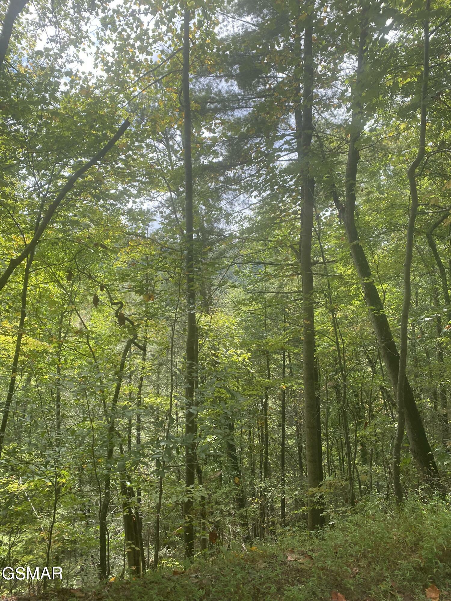 Property Photo: Lot 9 Sunset Road TN 37876