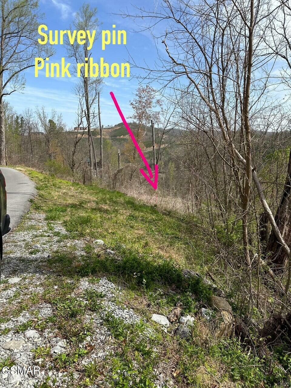Property Photo: Lot 6 Smoky View Road TN 37738