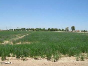 Property Photo: 166th W Lower Buckeye Road - AZ 85338