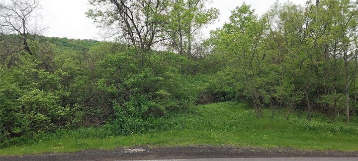 Property Photo: 0 Walpole Rd NY 13073