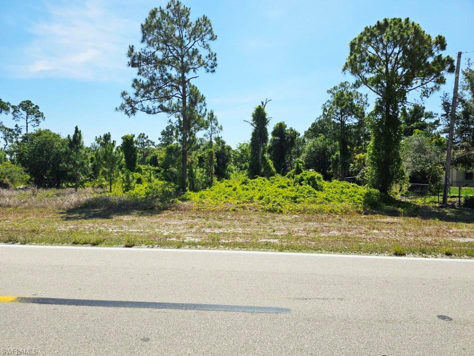Property Photo: 1045 Columbus Blvd S FL 33974