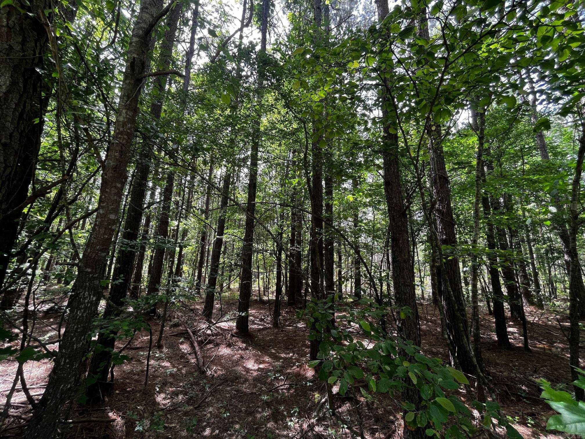Property Photo: 0 S Sardis Road AR 72011