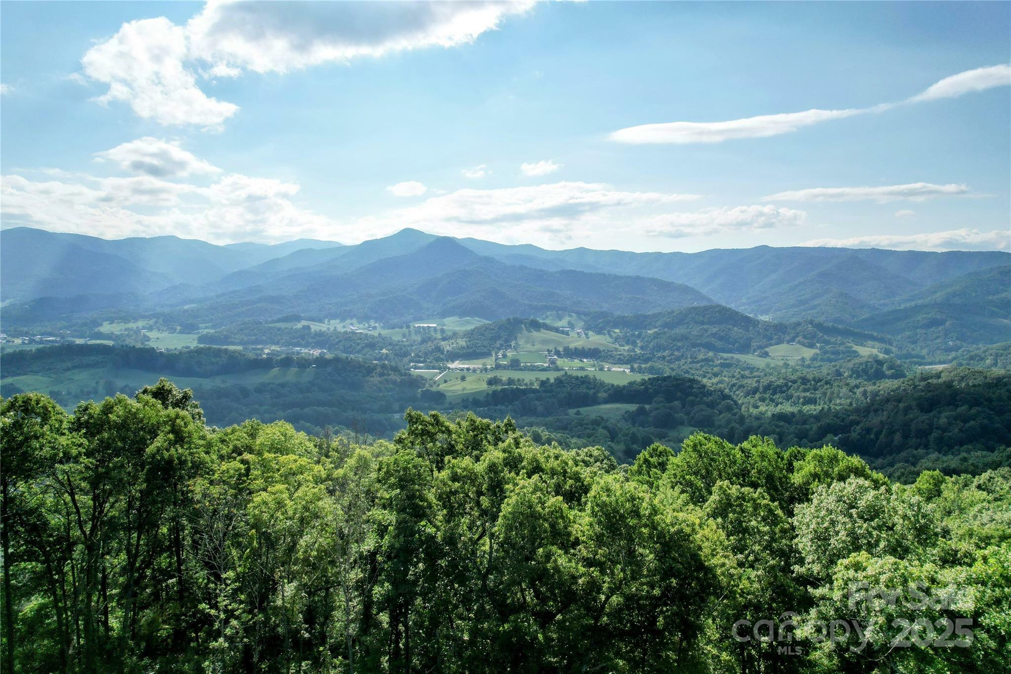 Property Photo:  394 Aubrey Trail  NC 28785 