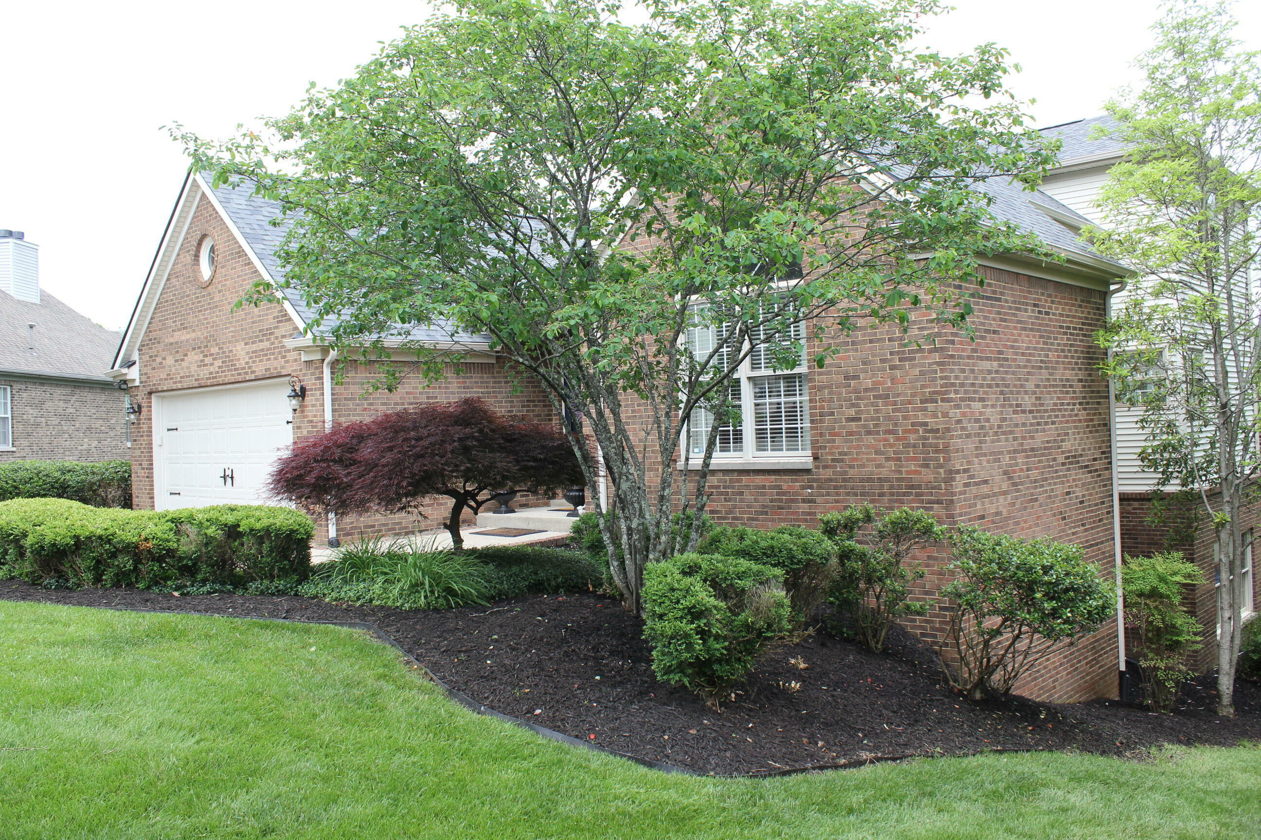 Property Photo: 113 Paddock Court KY 40601