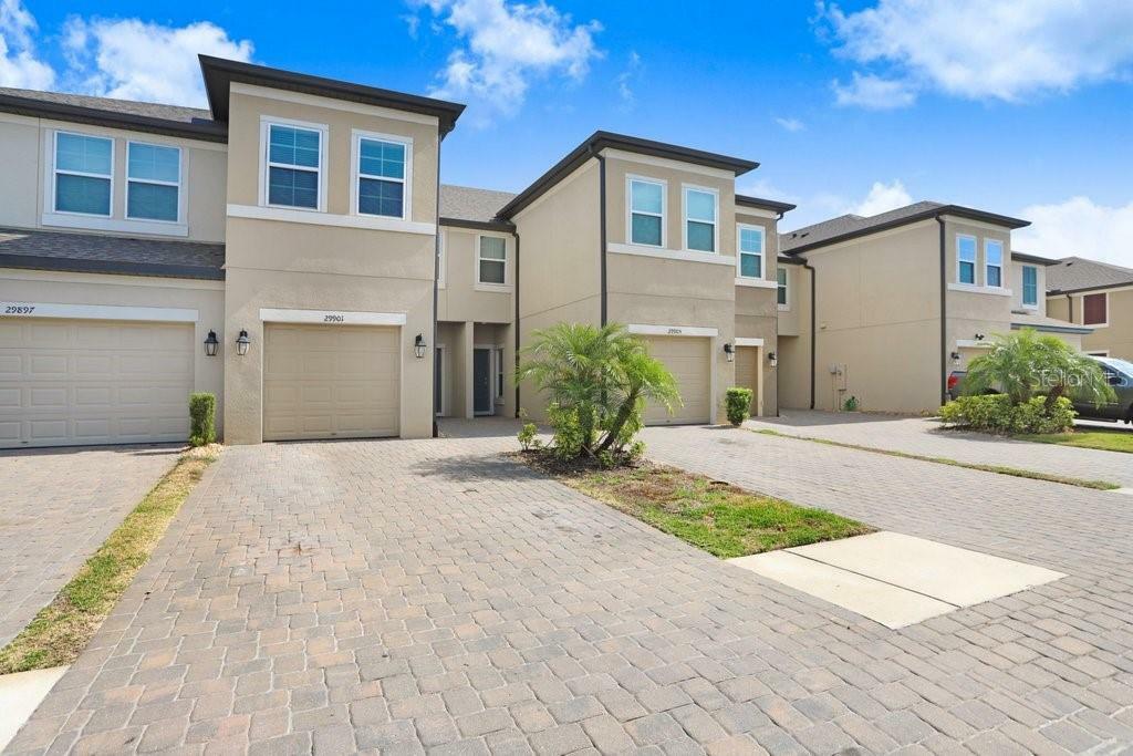 29901 Southwell Lane  Wesley Chapel FL 33543 photo