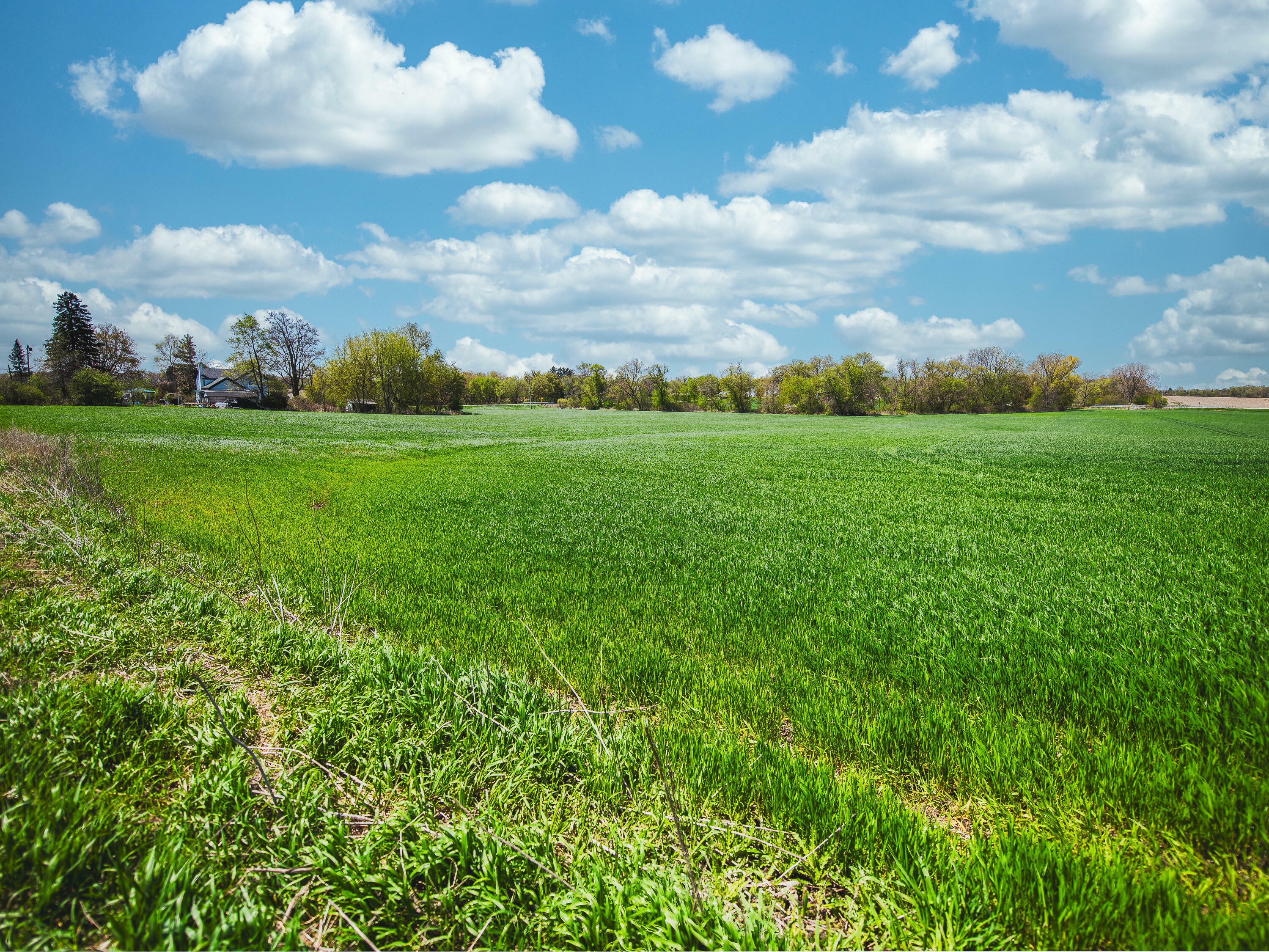 Property Photo: