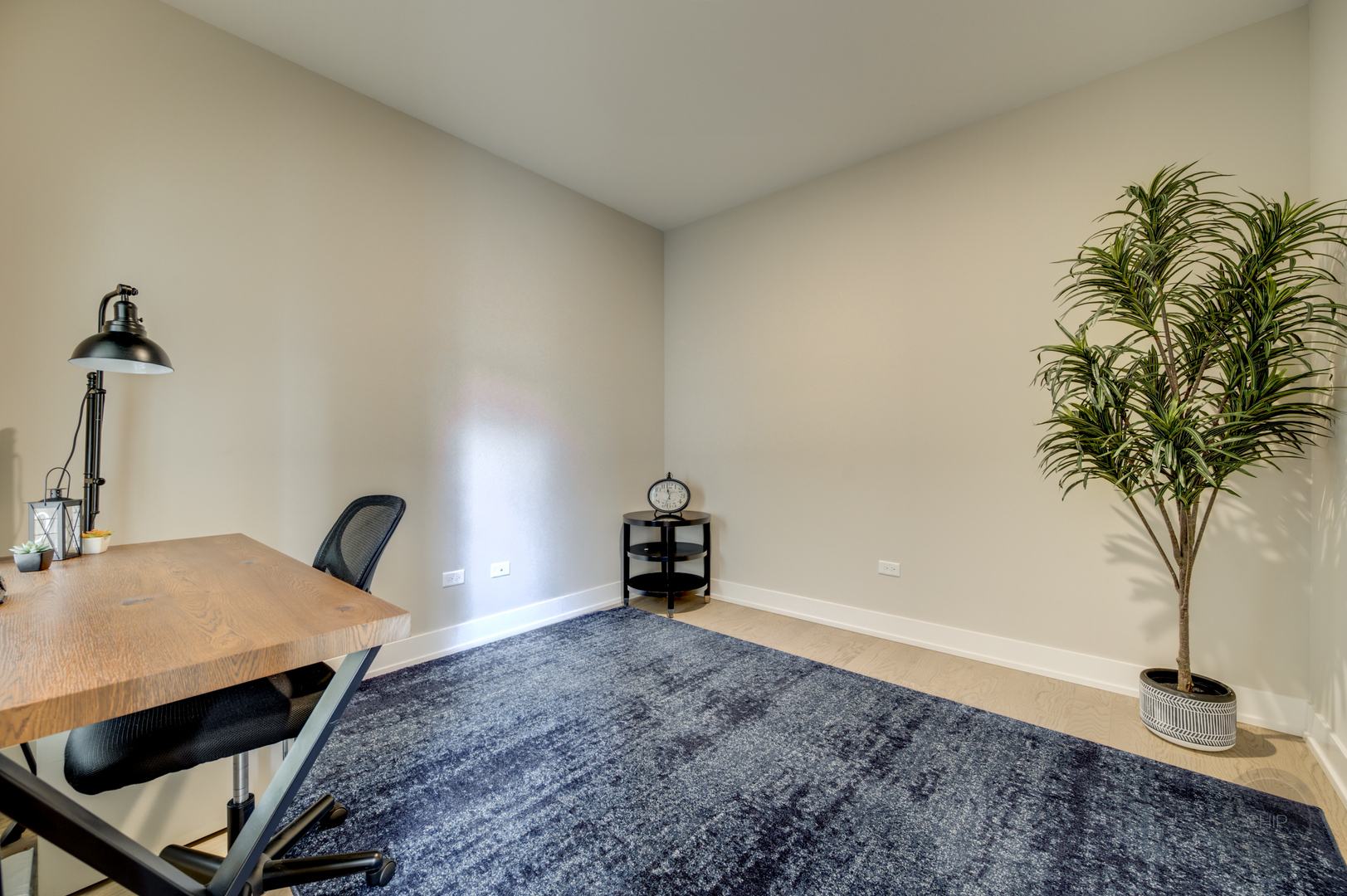 Property Photo: 570 Sudbury Circle IL 60543