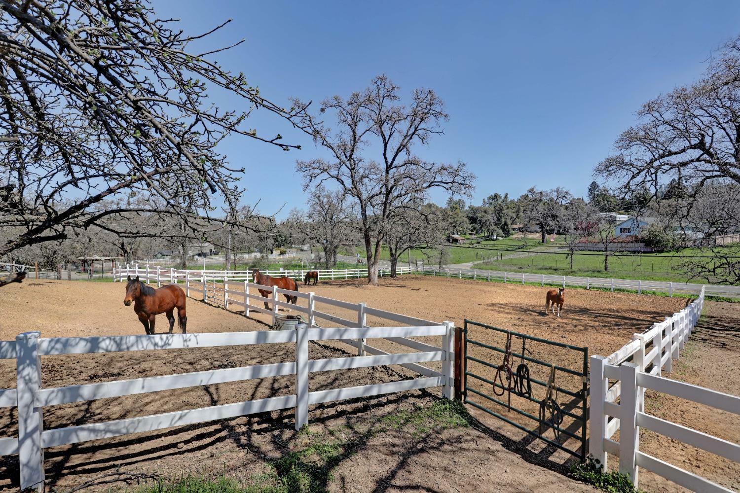 Property Photo: 4420 El Dorado Road CA 95667