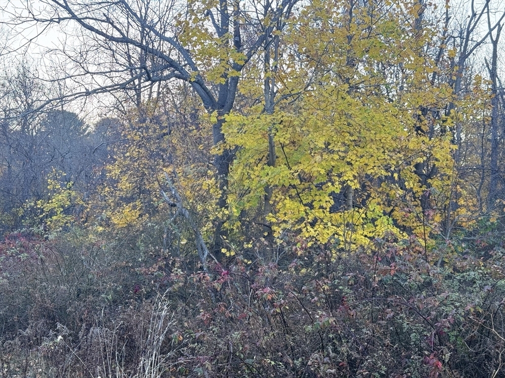 Property Photo: Lot 9 Lawler Ln MA 02072