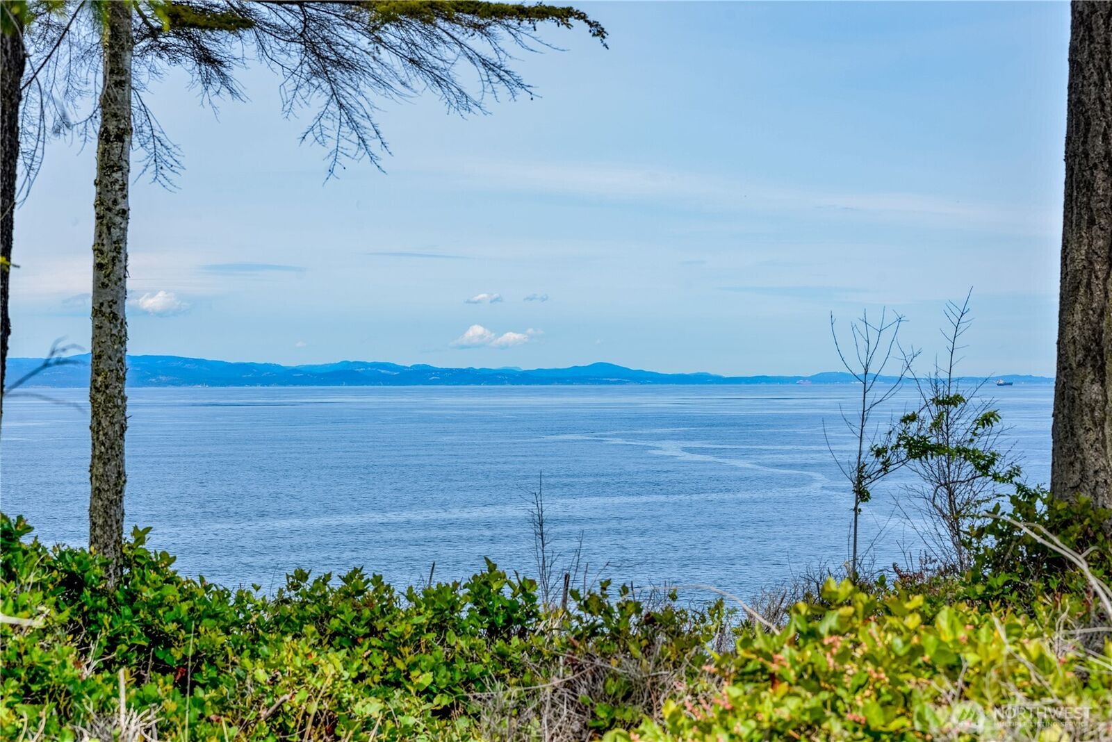 Property Photo:  1020  Walker Street  WA 98363 